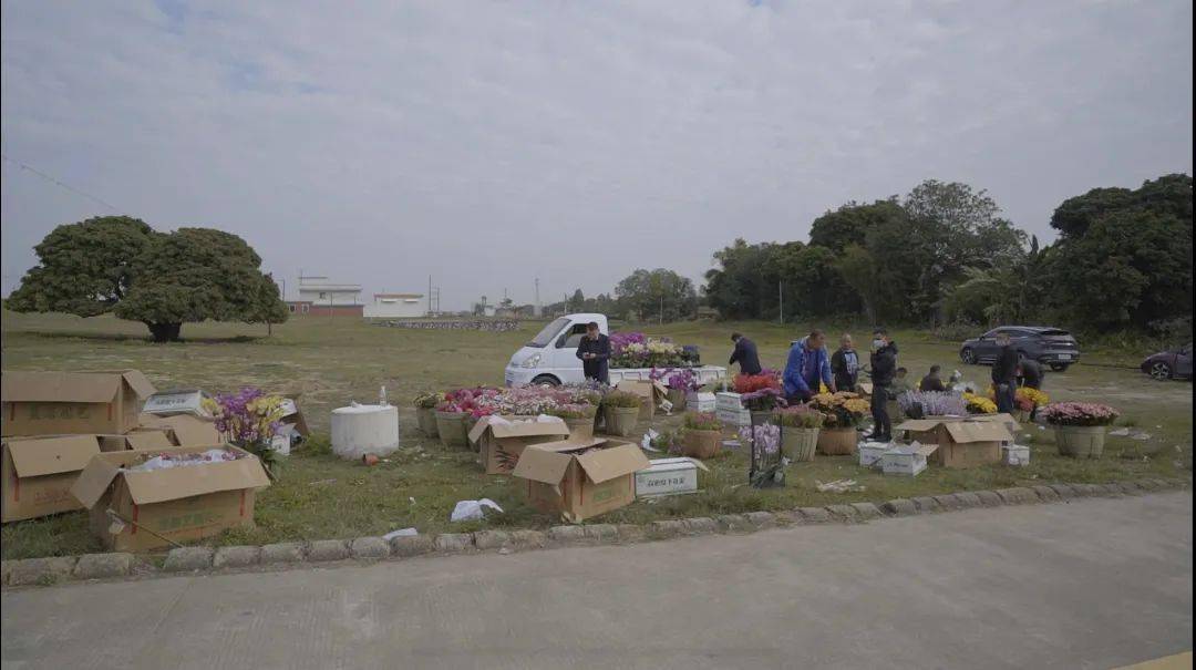 今年春晚的第一个镜头来自佛山三水乐平大旗头古村!