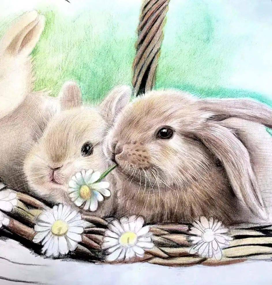 作者:胡晓云版画 组合《瑞兔纳福》东胜区东方实验小学奖等一作者