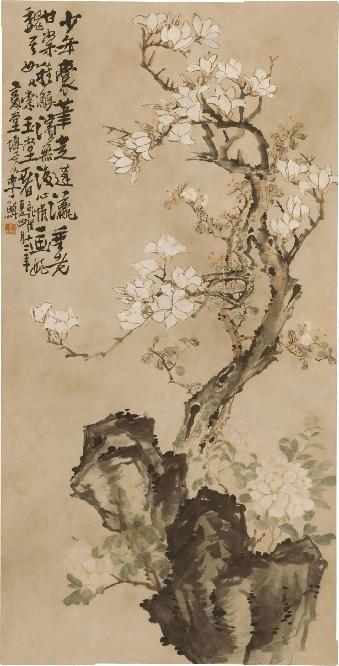 【诗画阅微】迎春开趁早春时,粉腻香温玉斫姿:历代诗画名家笔下的玉兰