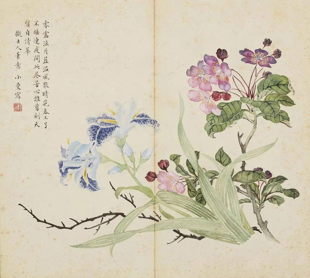 陆小曼：万寿恒春花卉册_搜狐网