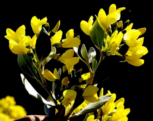 观主题教育活动丨【阅游·悦读】绚丽新疆-乌鲁木齐_人民_沙冬青_银行