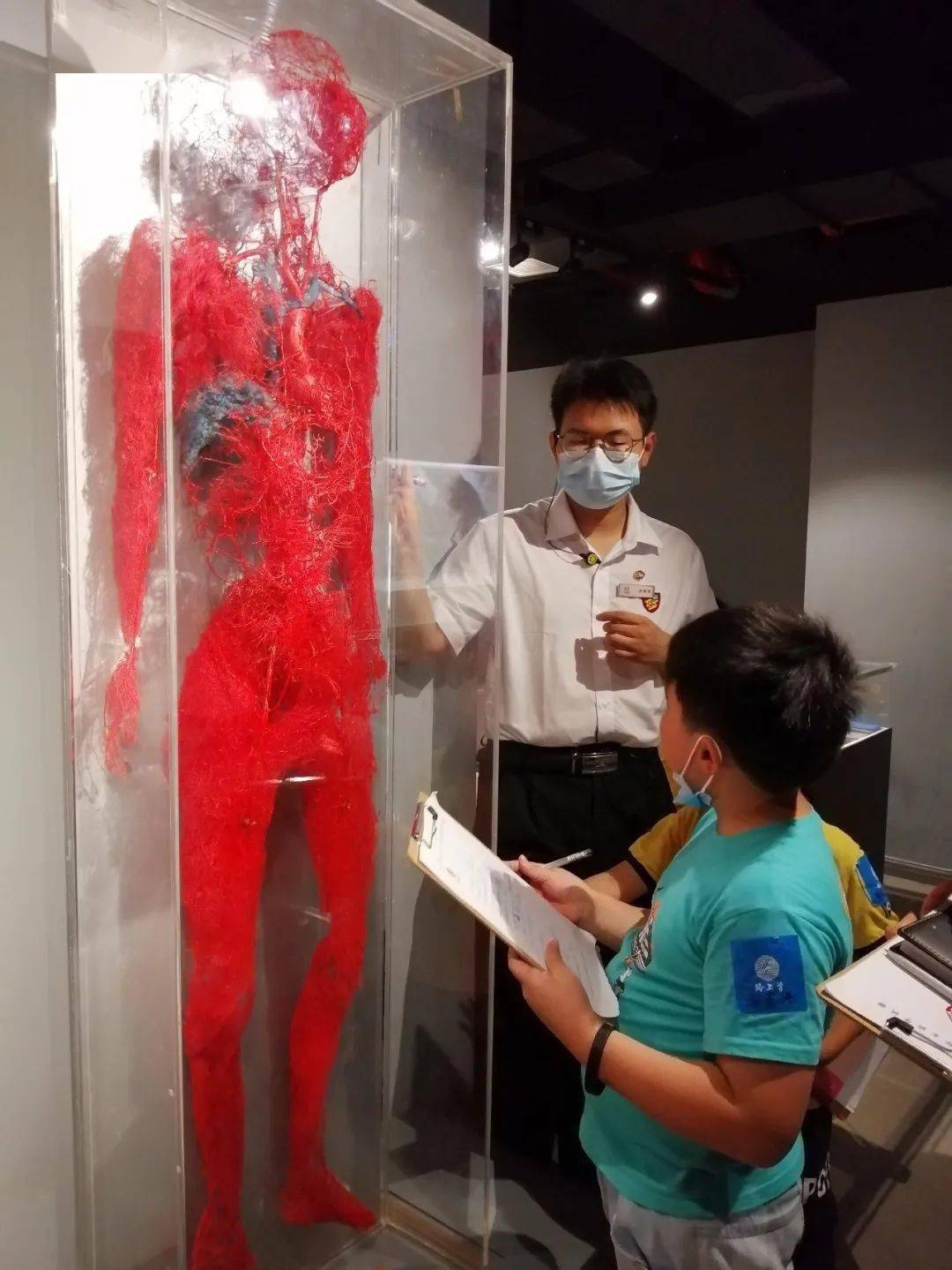 【1日职业独立营】属于孩子的"医学院",生物解剖 标本护理,标本护理师