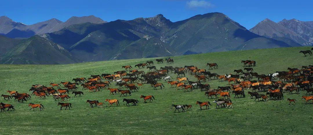 张建华▲马牙雪山(武威市)甘肃省文化和旅游厅提供▲阳关景区(敦煌市)