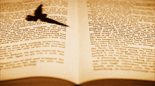 ����Ա��������ǿ���ܹ��ֿ�