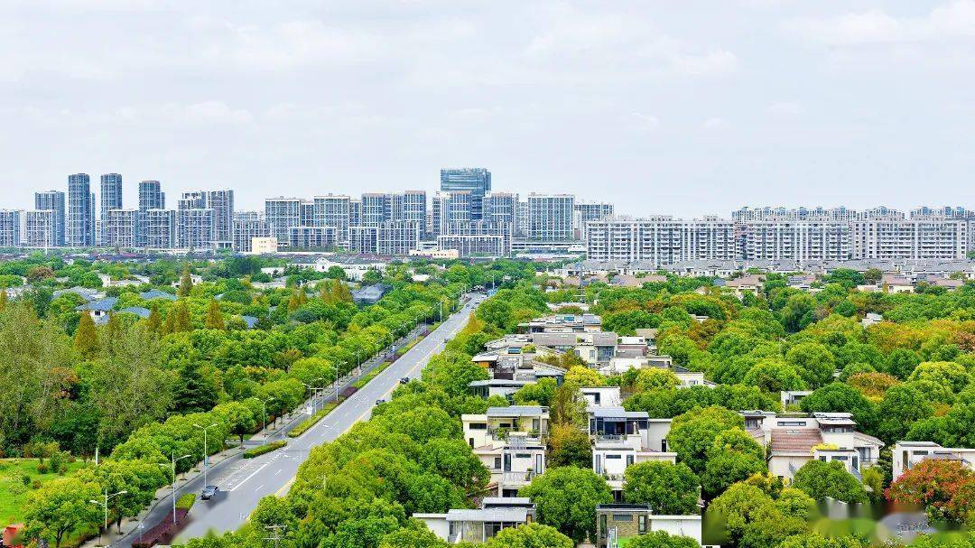 带你换个角度看徐泾_发展_虹桥_未来