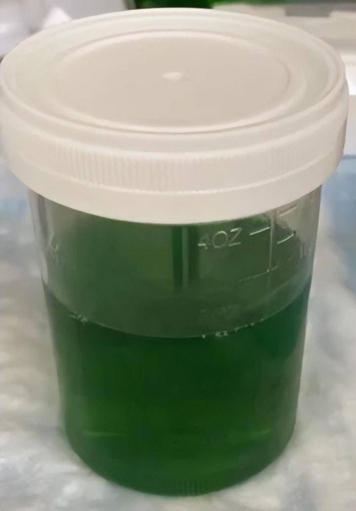 来自搜狐网