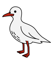 第四届红嘴鸥观赏季 | 鸥遇影城,来三国水浒与红嘴鸥一起过个"鸥气"