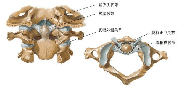 视频 严重头痛