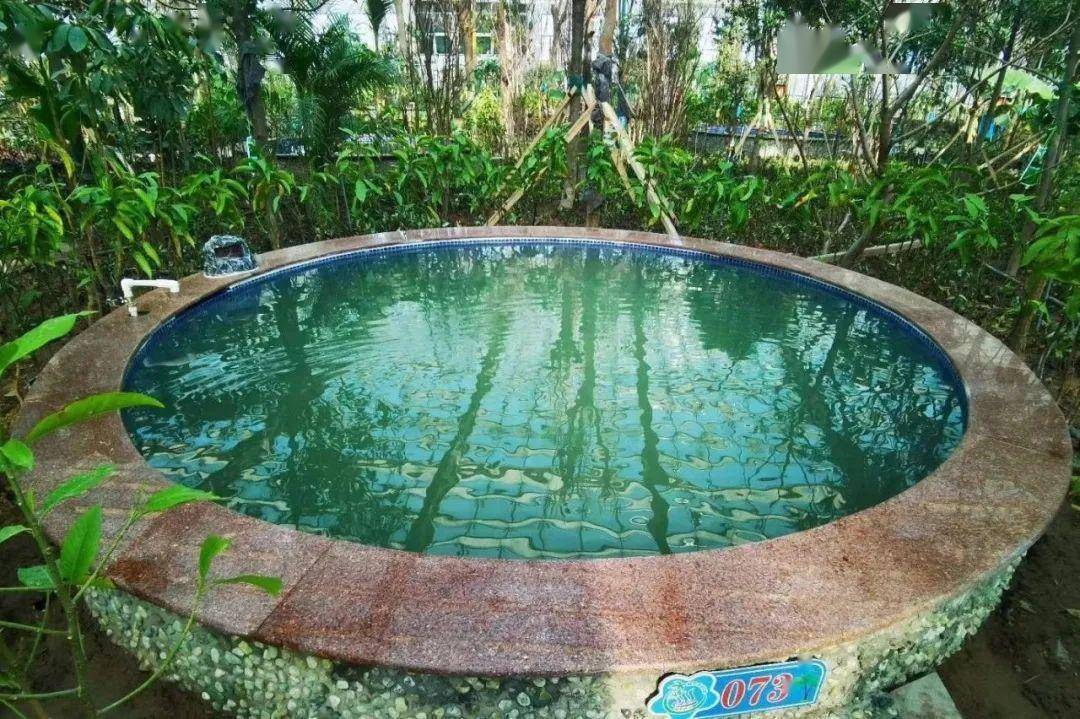 首选_植物_热带雨林