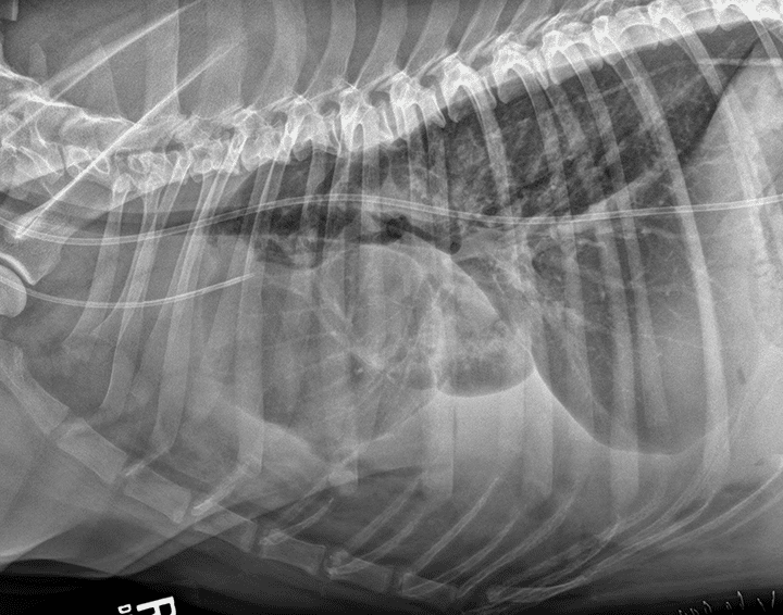 Ȯè��ǻ��Һ�ͷ�ˮ�׵ķ�����ϣ���ˮ�׵�X�����˼�� ...