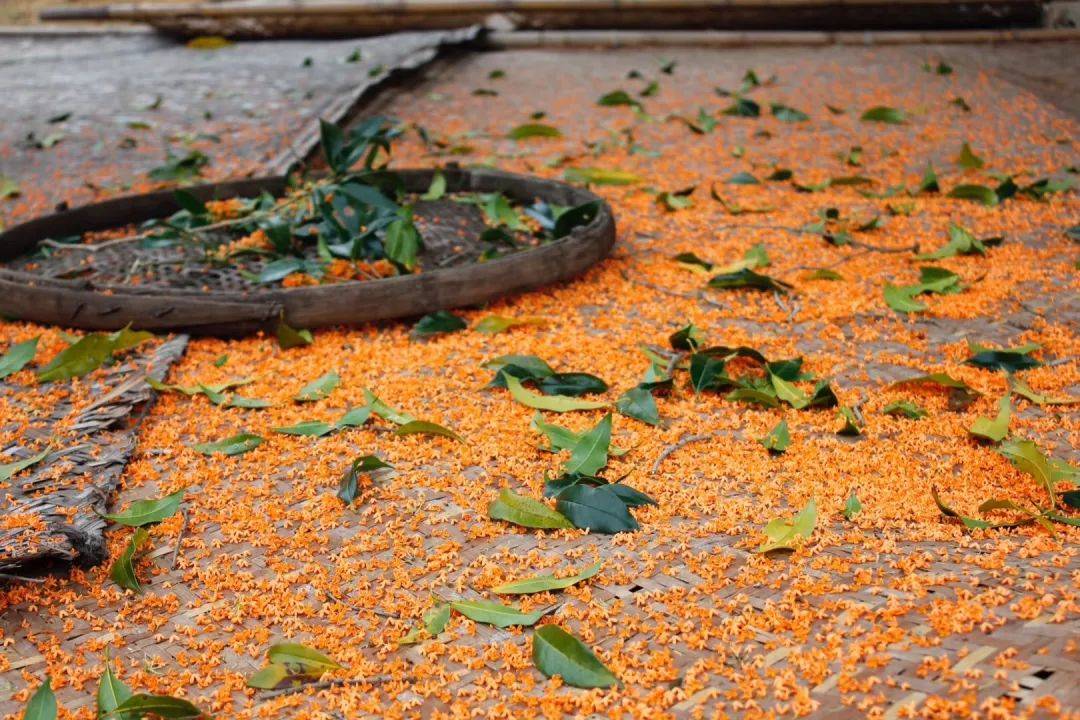 浦城_配料_美味