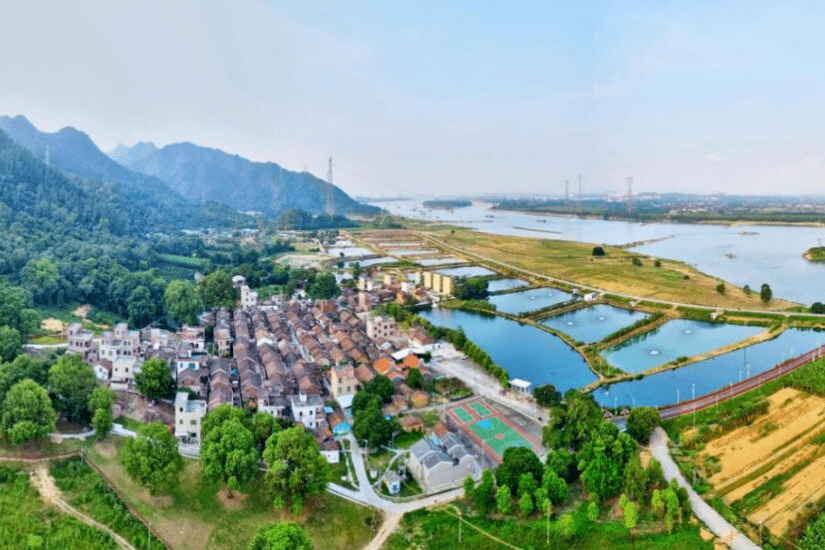 附赏花游玩路线→_北江_大塘镇_梅花村