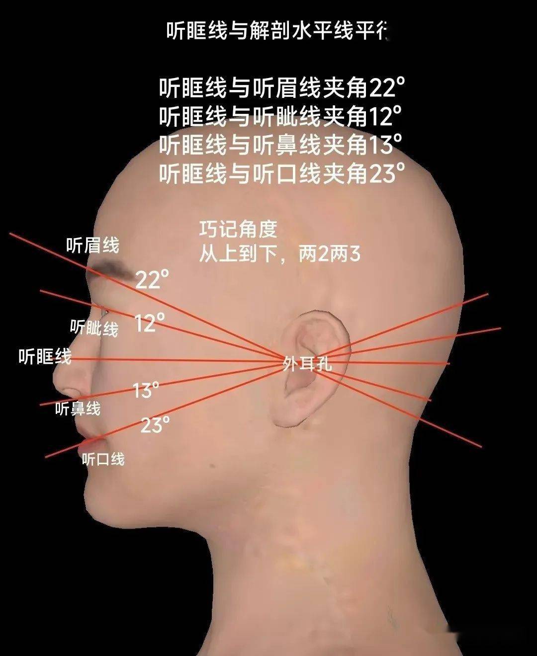 人体感觉平面定位图图片