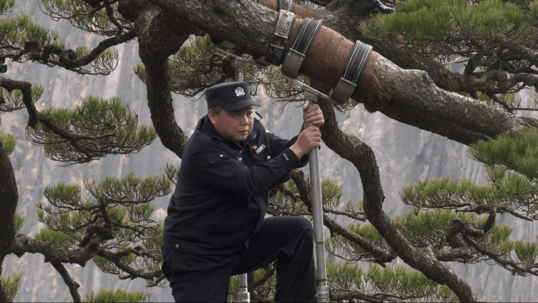 "中国好人"李培生,胡晓春: 传播真善美 传递正能量_迎客松_黄山_作用