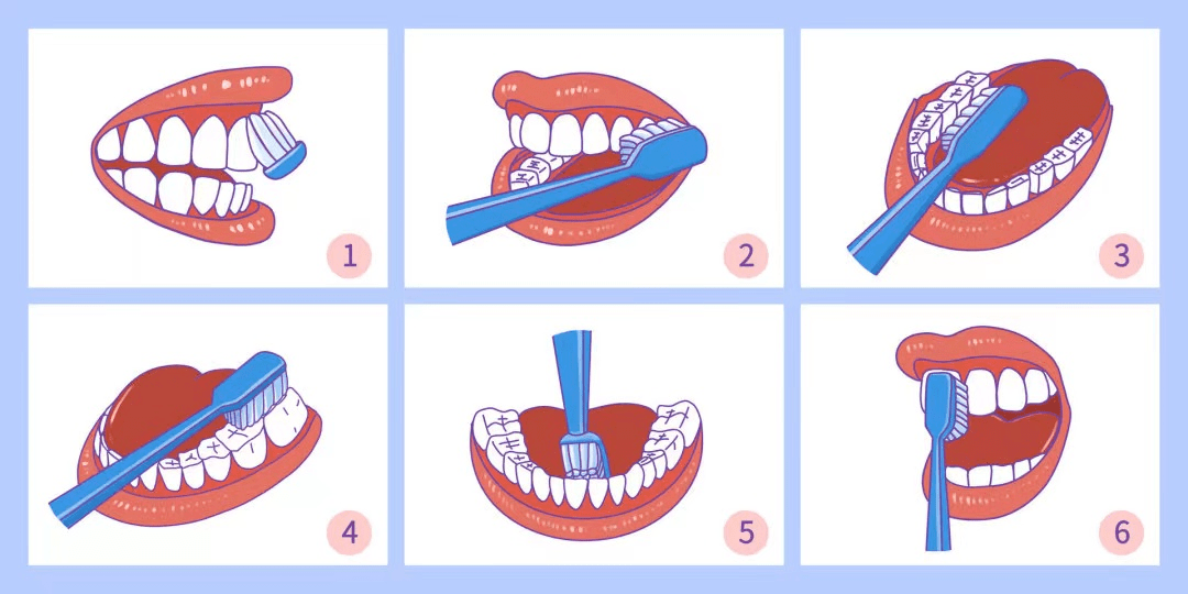 一天刷几次牙最适宜呢？迟早各一次够吗？