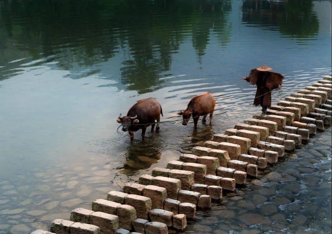 泰顺碇步桥火了,并非偶然!_旅游_江南_仕阳镇