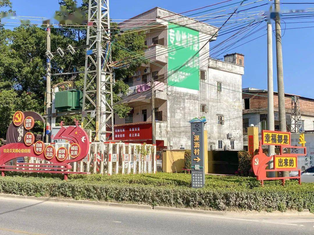 被园洲这条村的休闲生活惊艳了!大家都在享受着春意盎然的时光