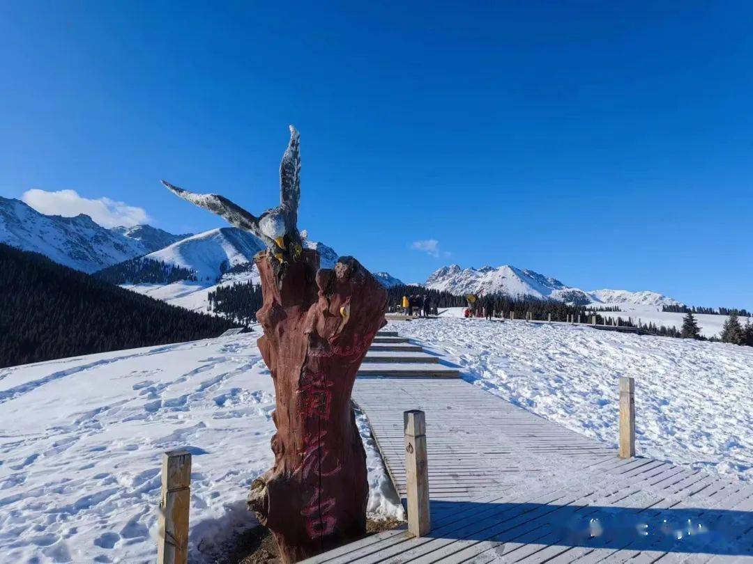 1月25日乌鲁木齐菊花台徒步赏雪景_南山牧场_草原_景区