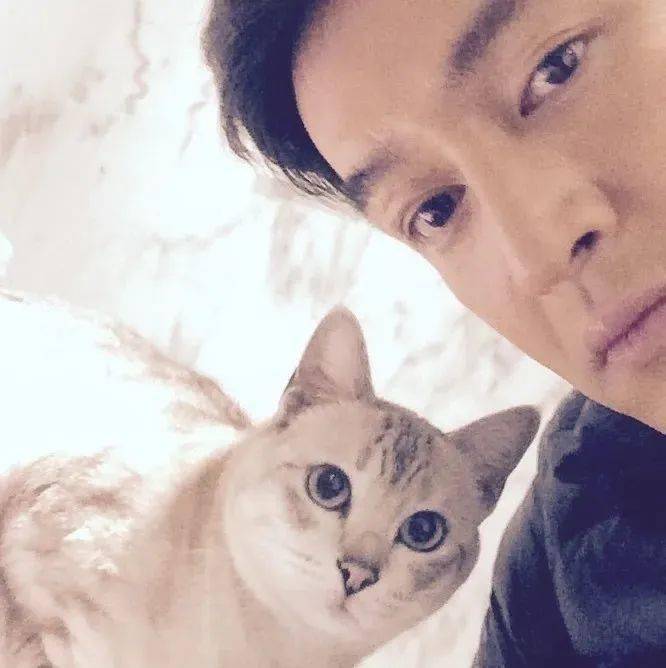 胡歌因为养猫,找到老婆还生娃了?_彭于晏_猫猫_猫咪