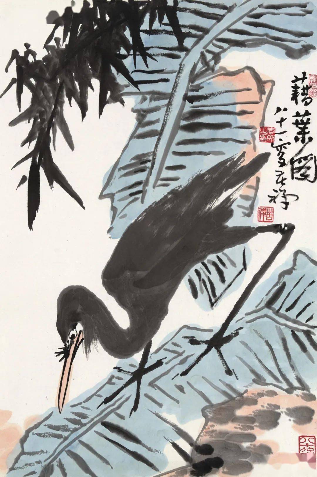 李苦禅禽鸟百图_鸬鹚_鹰爪_八哥