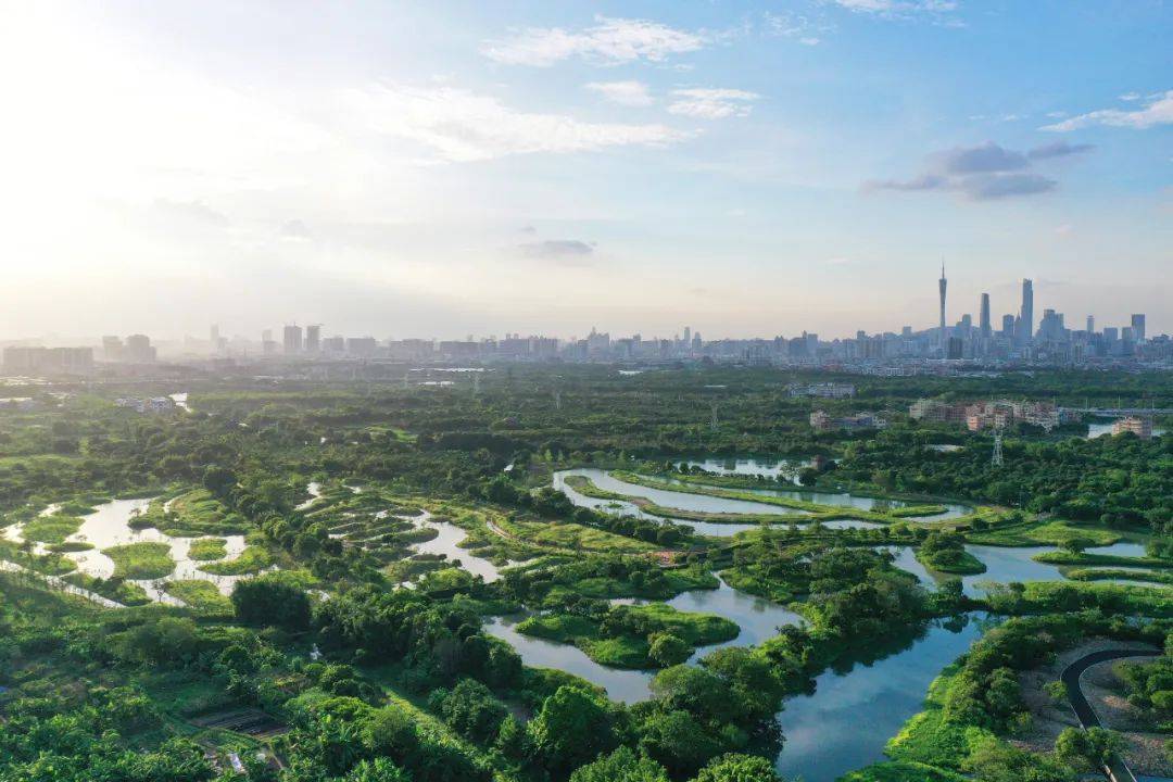 世界级！浙江再添1处国际重要湿地