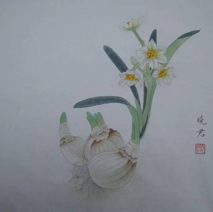 白描水仙花图片大全图片