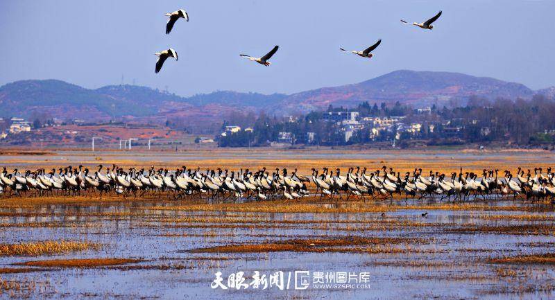 贵州：勤奋让“推窗见绿、出门见景”成为生活标配