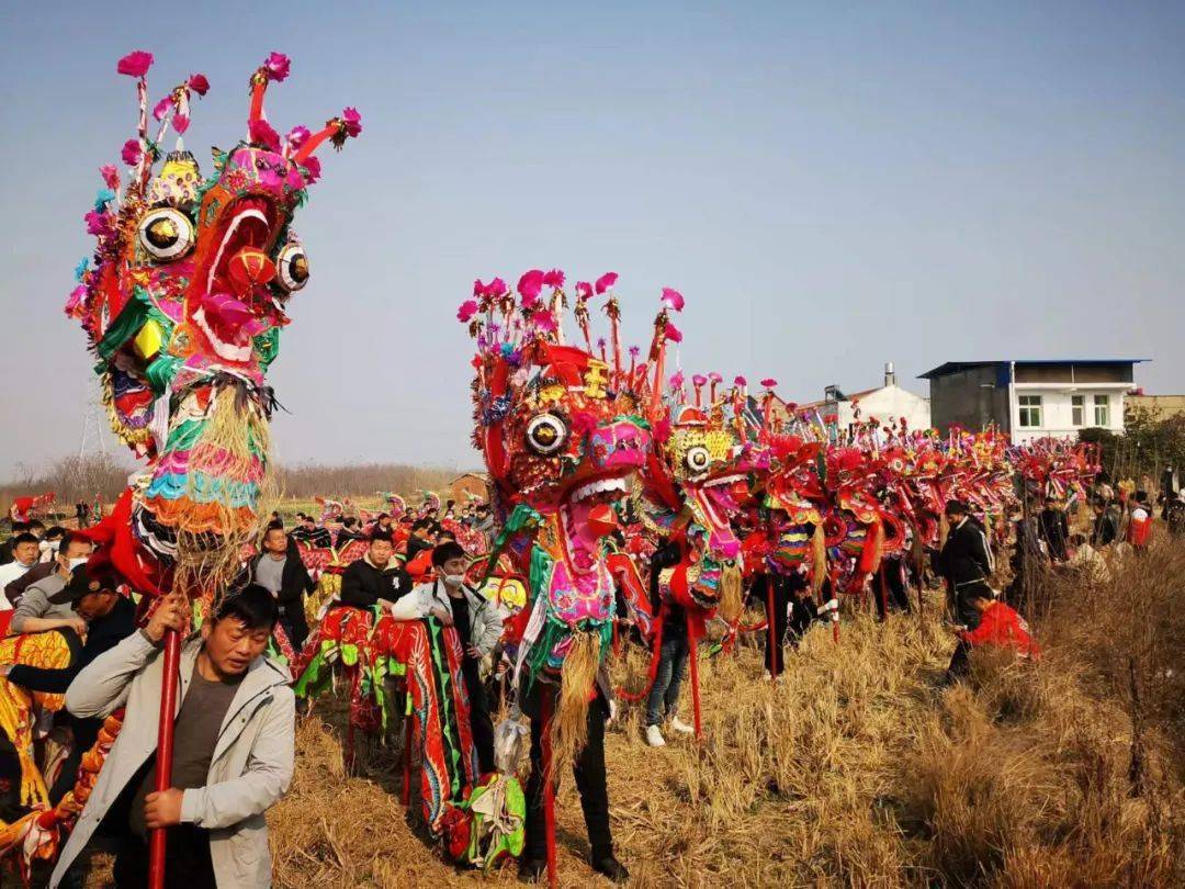 杨店百龙齐舞闹元宵_龙灯_东街_狮子