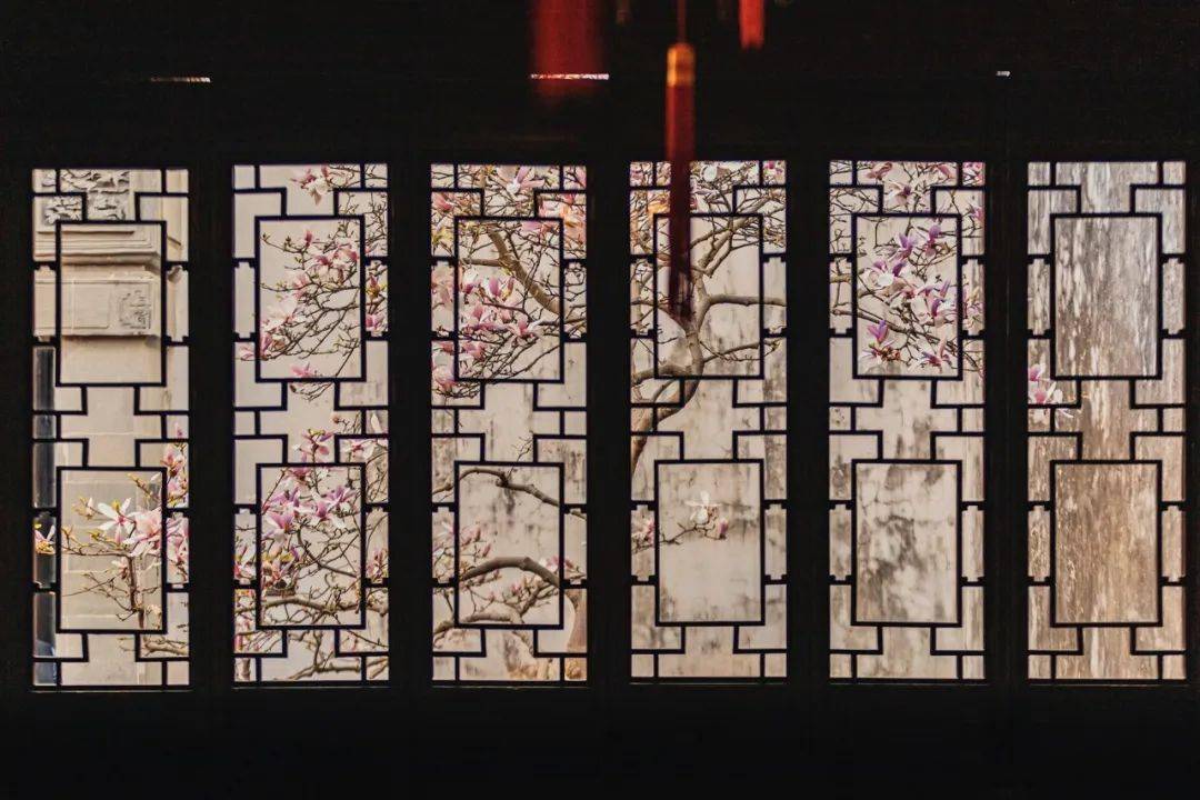 亭漏窗蜡梅@一直有好好吃饭狮子林四艺花窗@虫二呦呦留园鹤所蕉影透窗