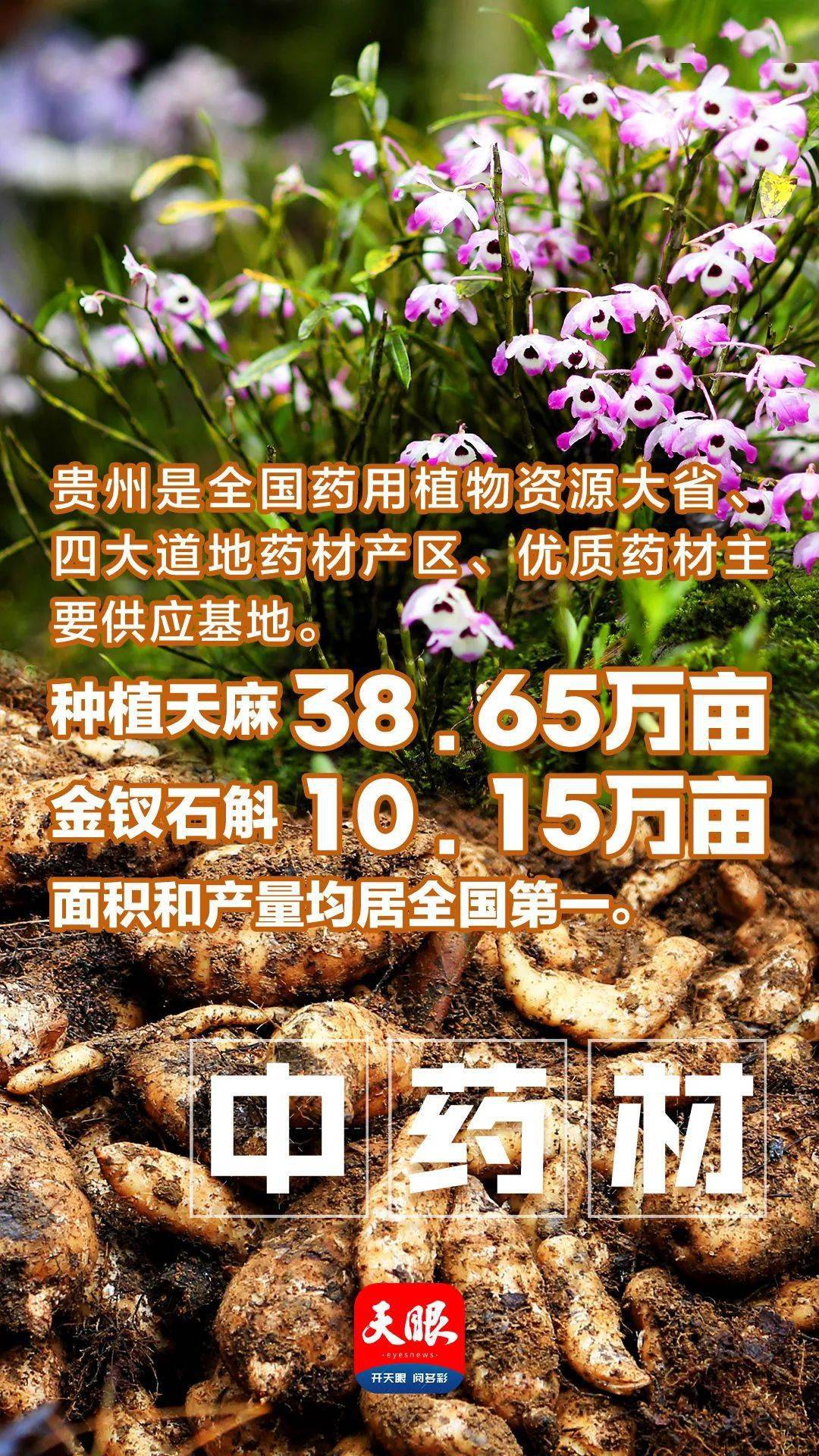 全国药材批发哪里最大