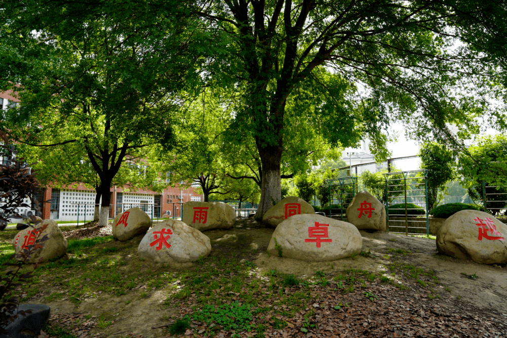 中加双语学校图片