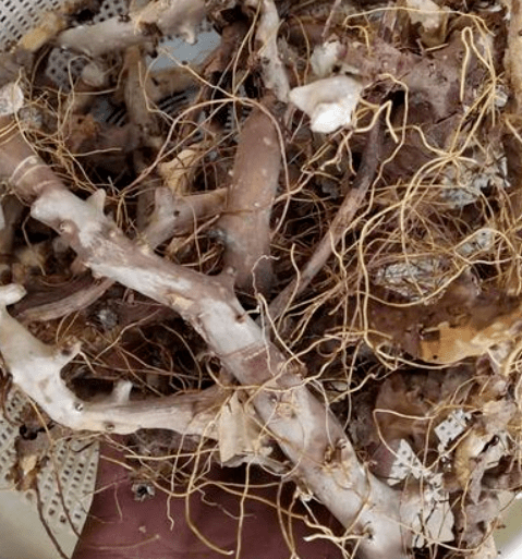 另有治风湿及类风湿性关节炎的中成药风湿圣药胶囊,由土茯苓,桃仁