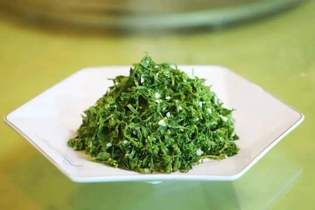 百花_汤池镇_陈银花