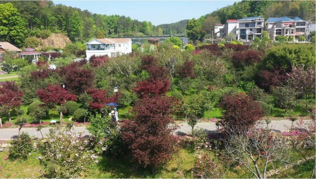 打造两山理论实践示范区_骆驼坳镇_建设_燕儿