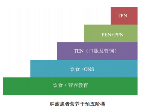 【世界抗癌日】张立平：乳腺癌患者的营养干预