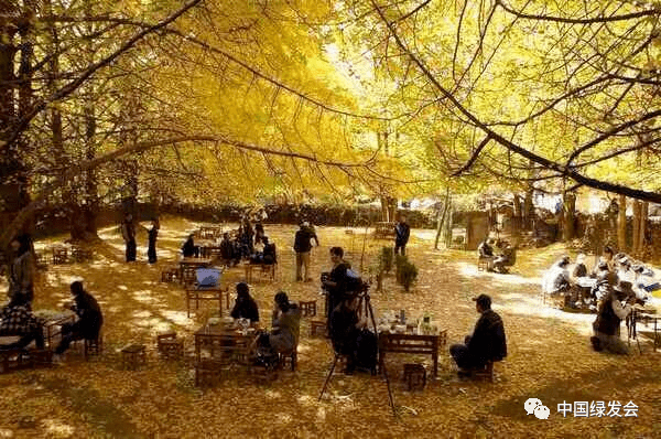 ���������ĽǶȿ��������ִ���ʷ | �̻����Ѷ