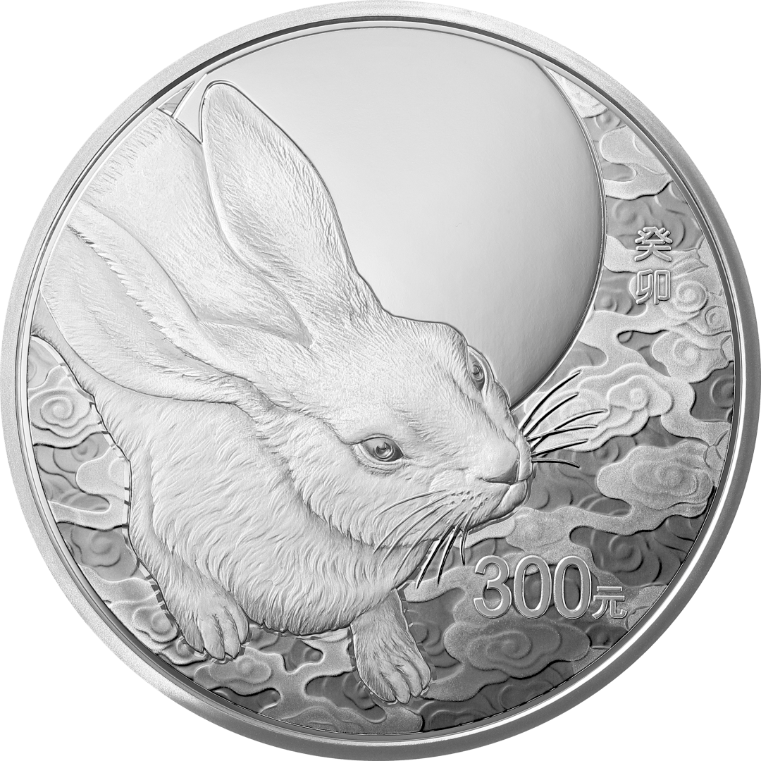 寅去卯来·玉兔迎春