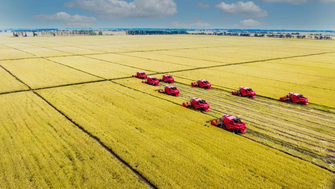 七星分公司位于黑龙江,松花江,乌苏里江交汇处的三江平原,是佳木斯市
