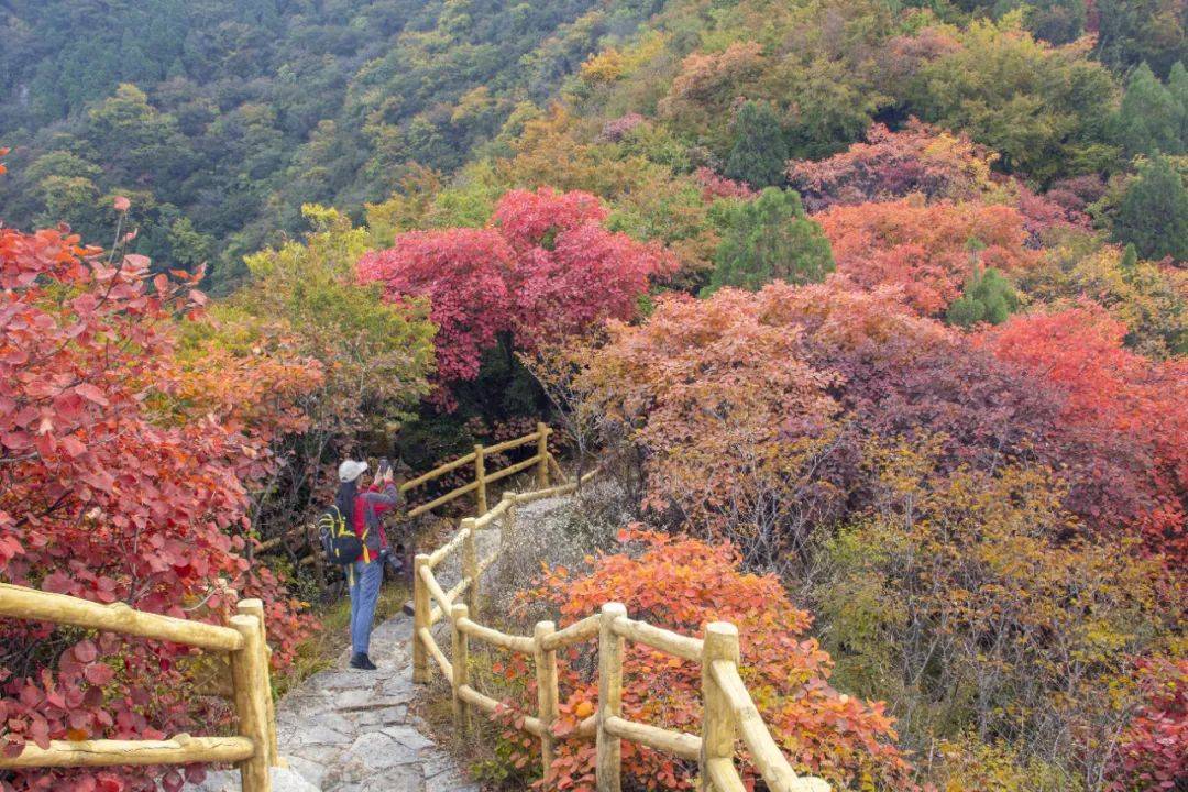 淄博那34家A级景区免费开放日来啦！保藏起来挨个打卡～