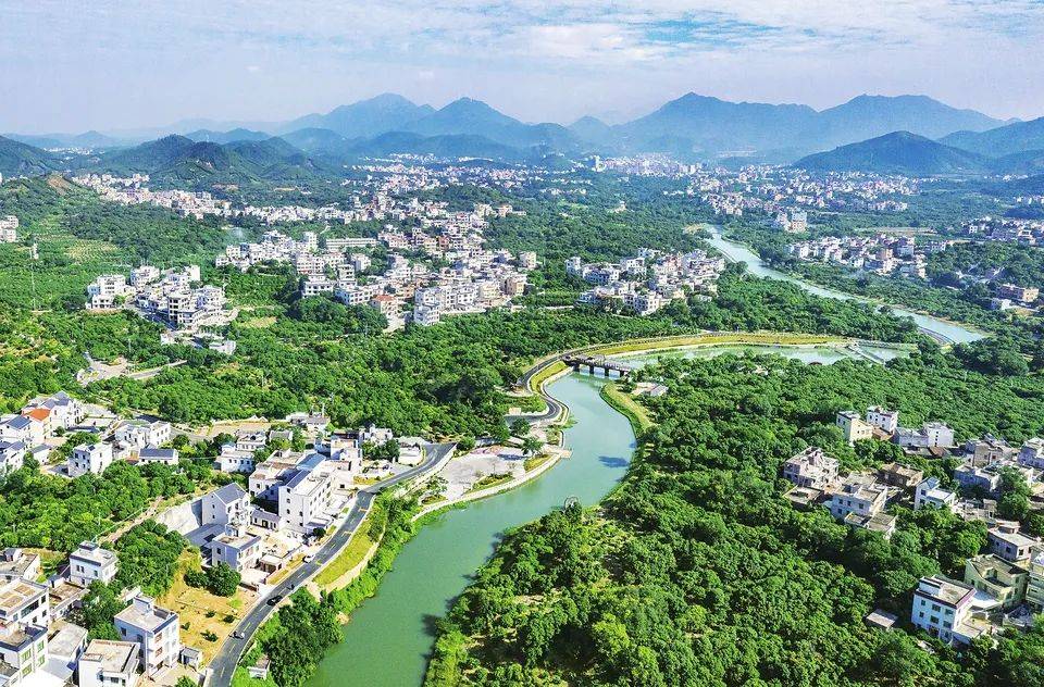 权威解读 | 全面实施“百县千镇万村 高质量发展工程”的茂名路径_城乡_县域_建设