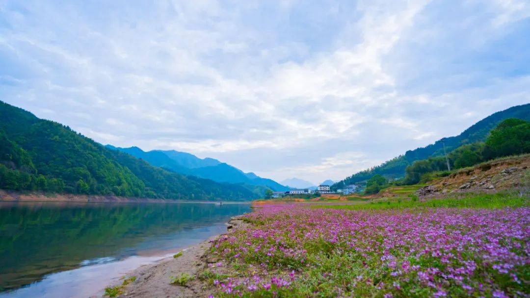 岭洋乡鱼山村湖南镇白坞口村云溪乡孟姜村杜泽镇西庄村衢江区石室乡响