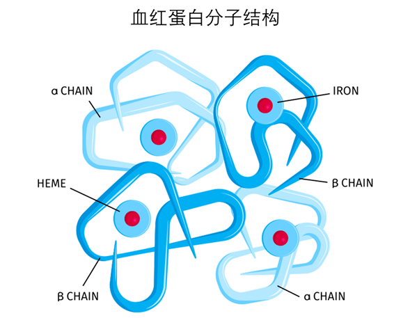 输血医学案例研究（3）血袋里的“蚊子”？