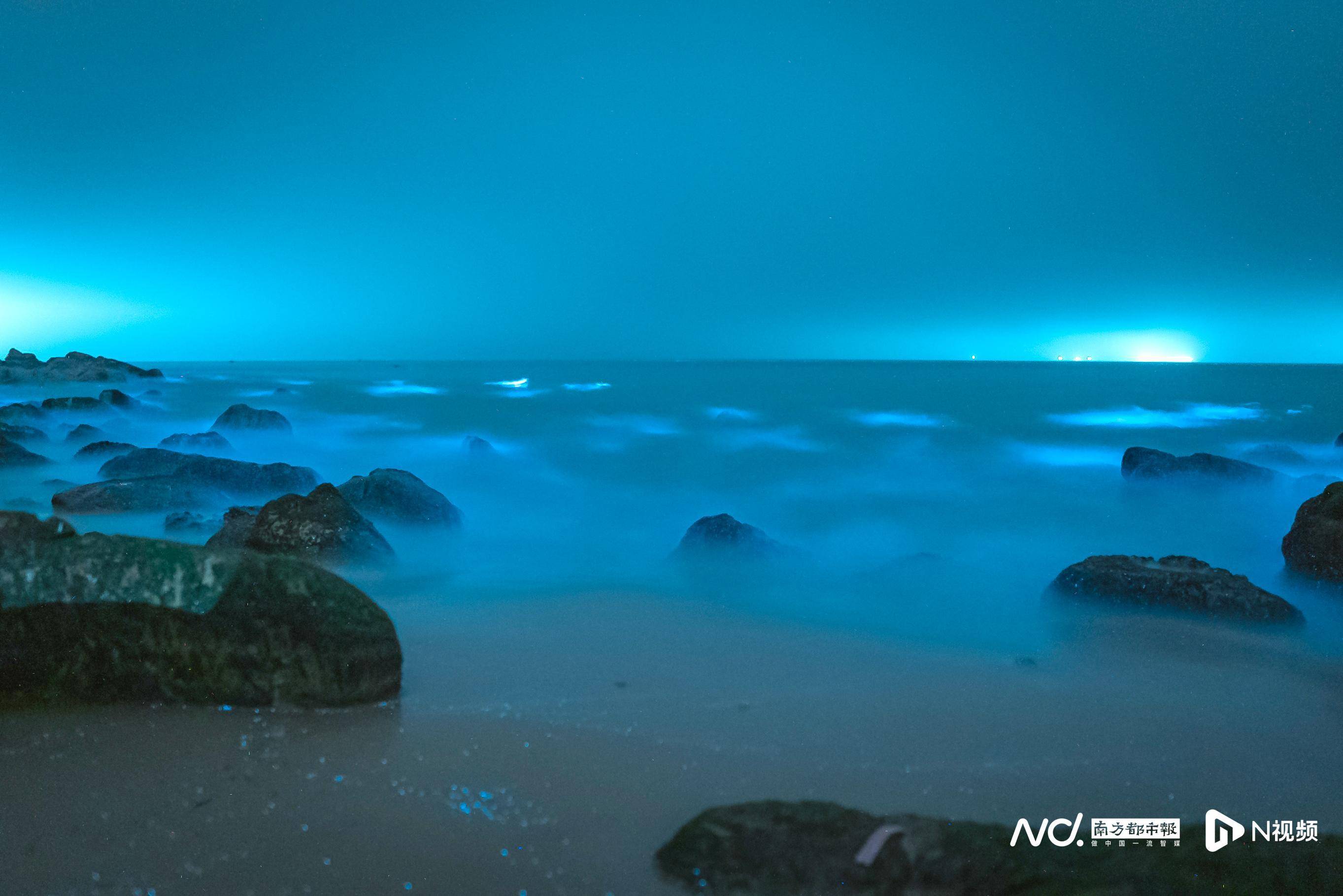 实拍:广东珠海海水现蓝荧光,夜光藻赤潮似繁星入海_南都_蓝色_西沙