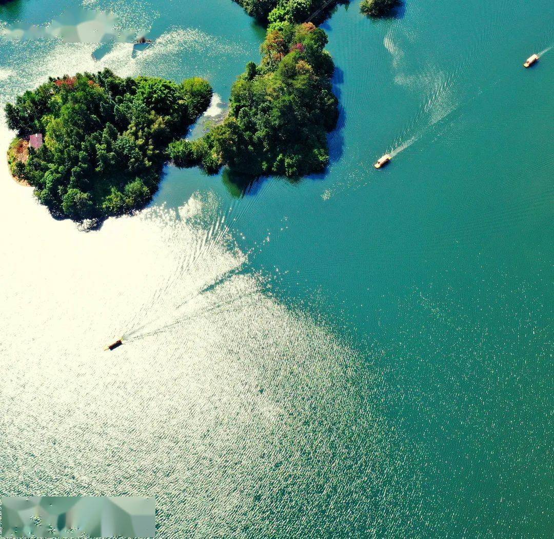 这样的上犹阳明湖你见过吗?_湖水_景区_赣州市