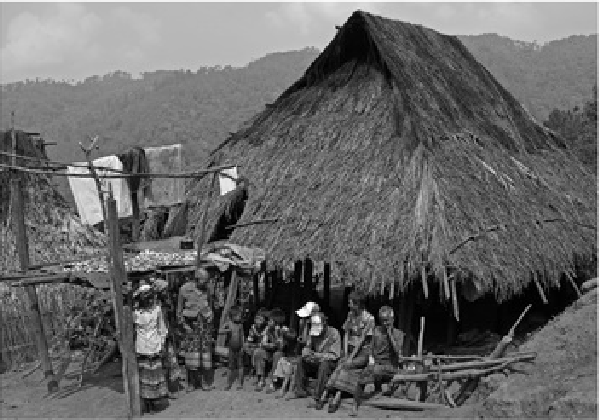 西双版纳:凝心聚力 全面实施乡村振兴战略正当时_农村_全州_农业