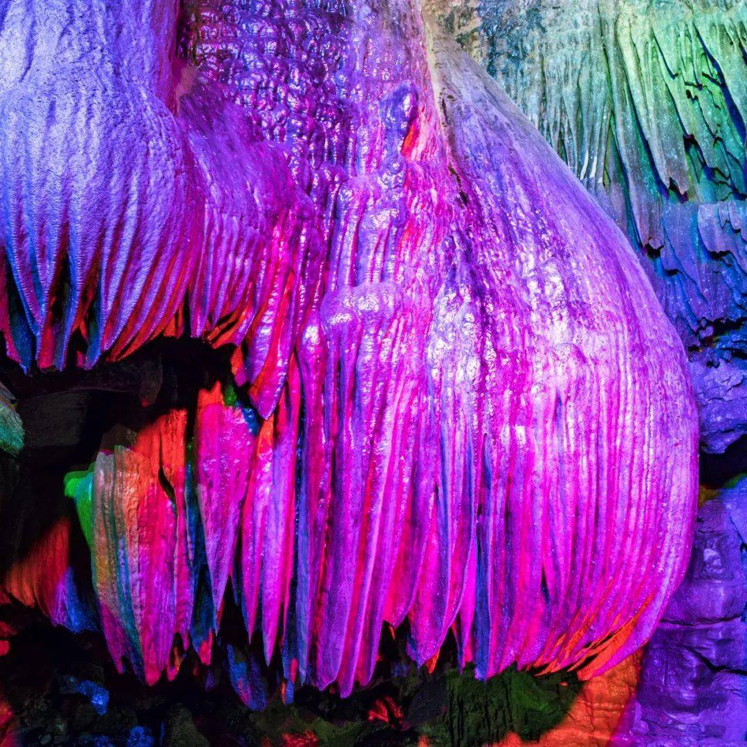 图/宜昌情人泉景区情人泉的莲花潭上空,有形似一线吊金灯的钟乳石.