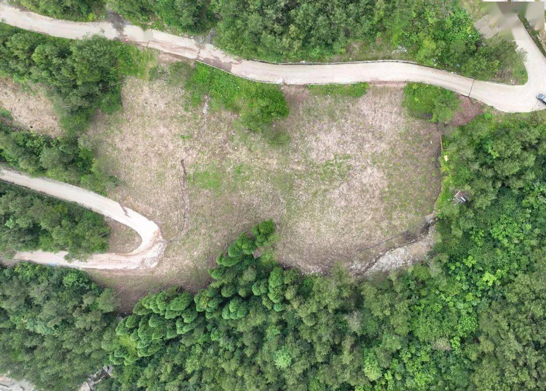 生态环保督察见成效⑧|万州区铁峰山国家森林公园综合整治实践_整改