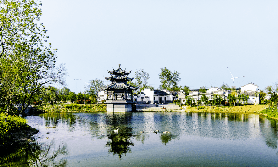 文明播报丨万寿镇:"颜值""品质"双提升 绘就美丽乡村新画卷_建设_全镇