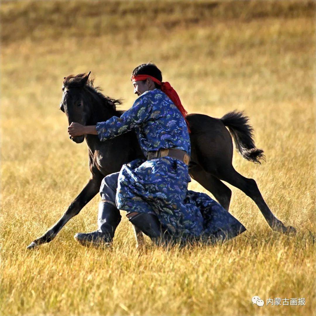 事业如烈马逃风 风致似寒梅大赋——沉痛思念亲爱的师长石玉平先生