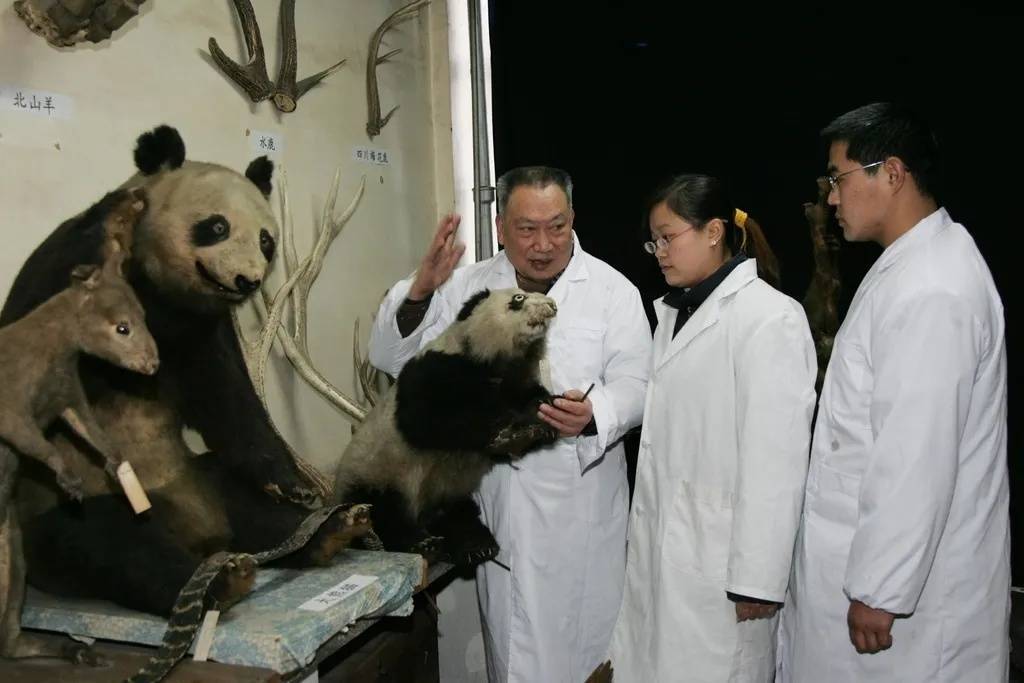 “中国大熊猫之父”胡锦矗病逝 享年93岁